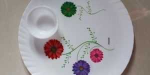 Plastic Dinner Plates