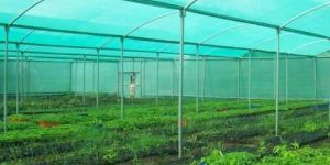 UV Stabilized Agricultural Shade Net
