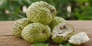 Custard Apple