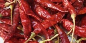 Dried Red Chilly