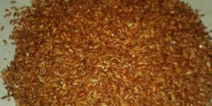 SEMI POLISHED RED RICE