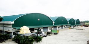 Trussless Roofing Systems