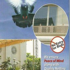 Bird Net