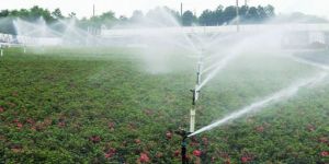 Impact Sprinkler