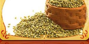 Coriander Seeds
