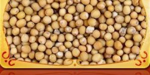 Mustard Seeds