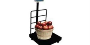 Platform Scale and Indicator