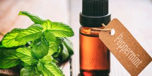 Peppermint Oil