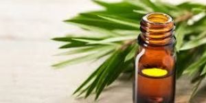 Tea Tree Oil