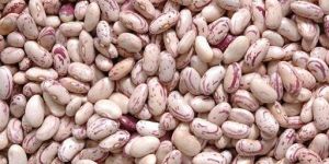 Red Speckled Kidney Beans