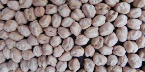 Chick Peas