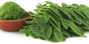 Moringa Oleifera Leaf Powder
