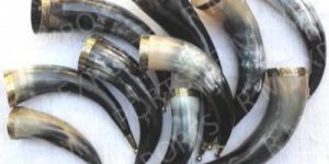 Viking Drinking Horn with Brass Cap