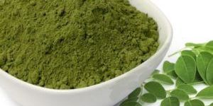 Moringa Leaves Powder