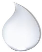 Anti Dandruff Shampoo