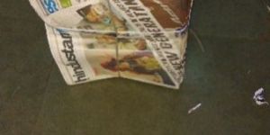 over Issue Newspaper English