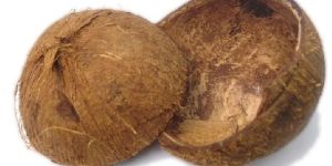Coconut Shell