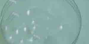 Vacuum Ball Half Ball -Transprit