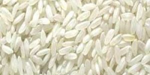 Ambemohar Rice