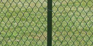 PVC Coated Chainlink Fencing