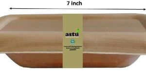 Disposable Areca Container Box