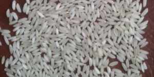 Sona Masuri Non Basmati Rice