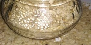 Kodo Millet Flakes