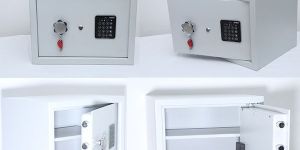 Electronic Safes