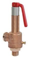 Bronze Safety Relief Valve