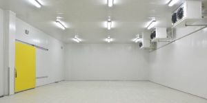 Cold Room