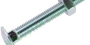 Carriage Bolts with Nuts