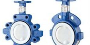 Wafer Butterfly Valve