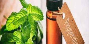Peppermint Oil