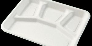 Disposable Food Tray