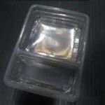 Disposable Food Containers