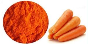 Carrot Extract Powder