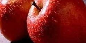 Washington Red Delicious Apple