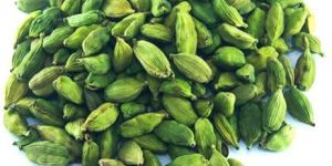 Cardamom
