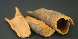 Cinnamon