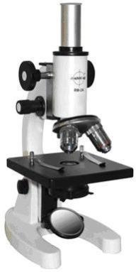 Compound Microscope