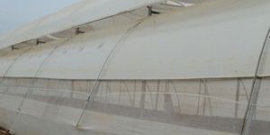 Patented Breezo Vent