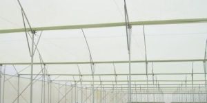 Low Cost Poly Tunnels