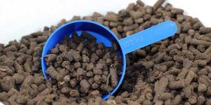 Neem Cake Pellets