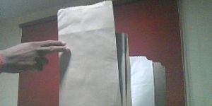 Brown Paper Bags
