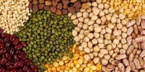 Indian Pulses