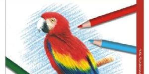 Colour Pencils