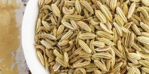 Fennel Seeds