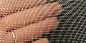 Insect Net