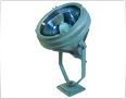 Flood Light Fitting