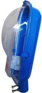 CFL Street Light